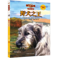 传世今典.动物小说5:野犬之王
