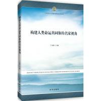 B[正版B]构建人类命运共同体的名家视角丁文阁时事出版社9787519502065