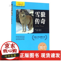[正版]B/大奖动物小说 雪狼传奇/江西高校