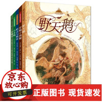 b 至美童话殿堂 套装 共5册 野天鹅 穿靴子 精灵 丑小鸭 小锡兵 俄罗斯画家 安东罗马耶夫