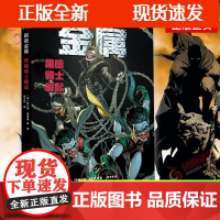 [正版]B暗夜金属 黑暗骑士崛起 暗夜金属大事件前传 DC漫画 蝙蝠侠漫画 简体中文版 图书 英