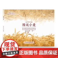 [正版]B图说小麦