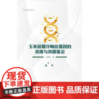 [正版直发]玉米苗期冷响应基因的克隆与功能鉴定 王晓宇 9787568603638 黑龙江大学出版社