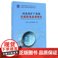[正版直发]河南省矿产资源化探信息应用研究 丁汉铎,王春松,解庆锋 等 9787562537403