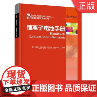 [正版]B锂离子电池手册 [德]赖纳·科特豪尔(Reiner Korthauer)主编陈晨 廖帆