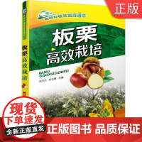 [正版]B 板栗高 效栽培 王天元 种植致富直通车 农业经典实用技术图书 技能培训