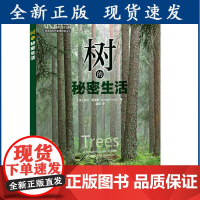 [正版]B树的秘密生活 树木 植物 自然 科普 英国自然历史博物馆带领我们走进树木的神奇世界