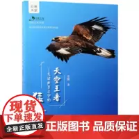 [正版直发] 天空王者--飞过北京上空的猛禽 自然之友书系 张鹏 9787503899959 中国林
