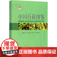 [正版]中国苔藓图鉴吴鹏程中国林业出版社9787503890710