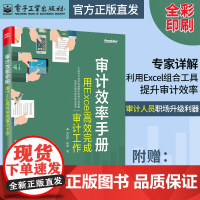 审计效率手册:用Excel高效完成审计工作 详解如何利用Excel组合工具提升审计效率