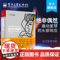 绝非偶然:撬动星球的头部效应 刘容 好产品好模式流量变现内容服务极客 经济管理书籍