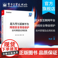 超大型互联网台网络安全等级保护技术原理及应用实践 网络安全工作和网络安全等级