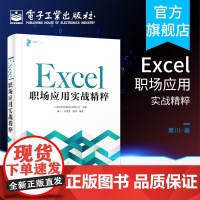 Excel 职场应用实战精粹 EXCEL职场办公入门精通 EXCEL高效办公自学手册书籍