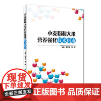 [正版]B小麦粉和大米营养强化技术指南 霍军生 黄建 主编 9787117267199 预防