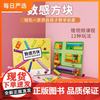 [正版]B数感方块幼儿进阶式教学思维训练教具数学启蒙益智玩具
