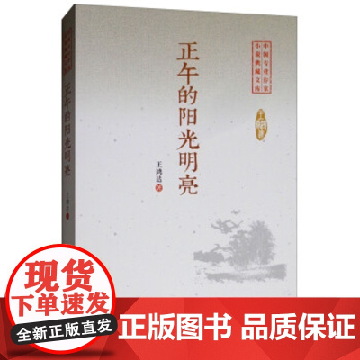 [正版直发]正午的阳光明亮 中国专业作家小说典藏文库 王鸿达卷 王鸿达 9787520509350