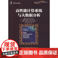 [正版直发]高性能计算系统与大数据分析 (印)佩瑟鲁·拉吉(Pethuru Raj) 等 97871