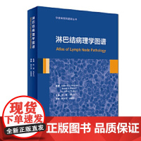 [正版]B 淋巴结病理学图谱 陈健 董红岩 主译 华夏病理网翻译丛书 基础医学 978711