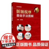 [正版]B 脏腑按摩基础手法图解 王海龙 主编 针灸推拿 9787117271783 201