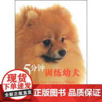 [正版]5分钟训练幼犬菲尔茨-巴比诺科学普及出版社9787110067673