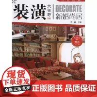 [正版]装潢大视野--新婚尚居王巍湖南科学技术出版社9787535761651