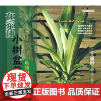 [正版]在家种小树盆栽真简 谢雨芳中国农业大学出版社9787811176445