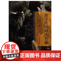 [正版]安宁河流域大石墓四川省文物考古研究院文物出版社9787501020065