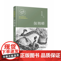 [正版]B正版 动物小说大王沈石溪 经典获奖作品 保姆蟒 沈石溪 著
