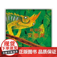 [正版]B聪明的变色龙(2014版) 童书 7-10岁 卡通 动漫 图画书 儿童绘本书籍 儿童读