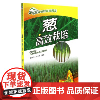 [正版]B葱高效栽培 栽葱技术书从入门到精通 大葱病虫害诊断 分葱栽培技术