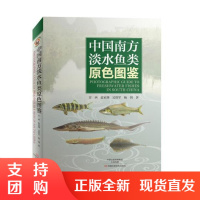 B[正版]中国南方淡水鱼类原色图鉴