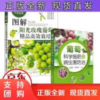 B[正版]葡萄科学施肥与病虫害防治+图解阳光玫瑰葡萄精品高效栽培 大棚葡萄种植技术大全 高产量葡萄栽