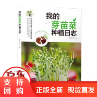 我的芽苗菜种植日志 芽苗菜家庭种植技术方法技巧无土栽培阳台种菜豌豆黄豆花生香菜豆芽菜水培书