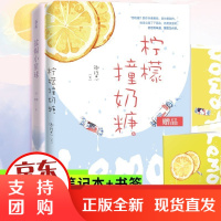 正版柠檬撞奶糖+盐焗小星球共2册常冬/卿玖思小说书花火双向暗恋青春甜宠校园言情高颜值会长x懵