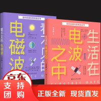 正版 百科经典科普阅读丛书2册 看不见的电磁波/生活在电波之中 甘本祓 著 科学与自然书籍 物