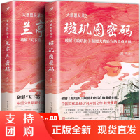 正版全2册大唐悬疑录系列兰亭序密码+璇玑图密码唐隐著破解兰亭序的千古谜局讲述大唐盛世背后的悬念