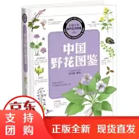 [正版]中国野花图鉴刘全儒山西科学技术出版社9787537743570