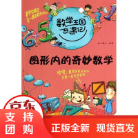 [正版]图形内的奇妙数学纸上魔方山东人民出版社9787209062947