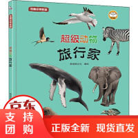 [正版]奇趣动物联盟 动物旅行家斯塔熊文化石油工业出版社9787518341221