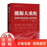 [正版]能源大重组 转型中的LNG市场安娜索菲·柯尔博石油工业出版社9787518341191