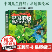 中国植物很高兴认识你全4册5-12岁中国本土大自然植物通识绘本自然科普启蒙绘本儿童书籍春夏秋冬植物图鉴少儿读物国家地理乡