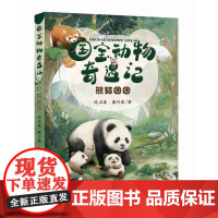 B[正版]熊猫团团 国宝动物奇遇记 沈石溪 动物 熊猫团团