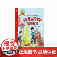 B[正版]智斗大神巫 神龙寻宝队的探险日记(彩图注音)