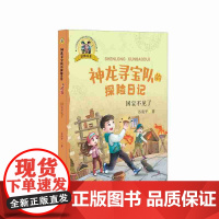 B[正版]国宝不见了 神龙寻宝队的探险日记(彩图注音)