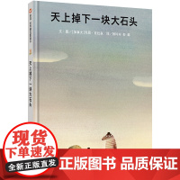 B[正版]天上掉下一块大石头 信谊 世界精选图画书 明天出版社