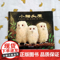 B[正版]信谊精选图画书 小猫头鹰 精装绘本信谊 0-1-2-3-6岁幼儿童成长故事图书籍读物 幼儿宝宝亲子启蒙认知早教