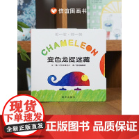 B[正版] 信谊绘本CHAMELEON 变色龙捉迷藏明天出版社精装硬壳绘本图画书儿童启蒙认知故事书0-3-5-6-7岁宝