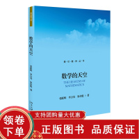 [正版b]数学的天空 通识教育丛书 张跃辉 经典数学理论费马大定理黎曼猜想庞加莱猜想 数学基础历史背景理论方法 数学故事