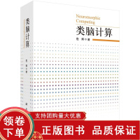 [正版b]类脑计算 基于多尺度感受野的警觉保持计算模型 视网膜仿真及其感知效能分析 基于非经典感受野机制的计算模型 危辉