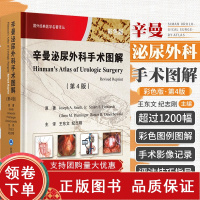 [正版b]辛曼泌尿外科手术图谱 第4四版 国外经典医学名著译丛 肾血管疾病手术血管修复原则 肾内镜解剖学基础 王东文 北